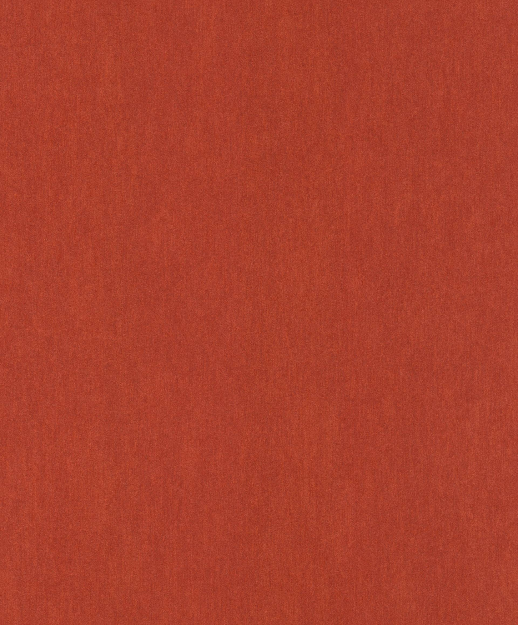 291055
