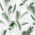 PAPER41 LUX