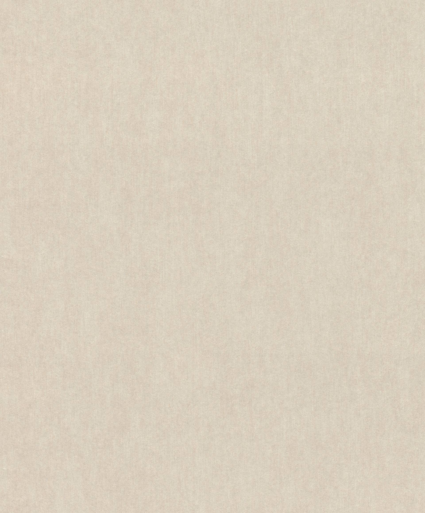 291031