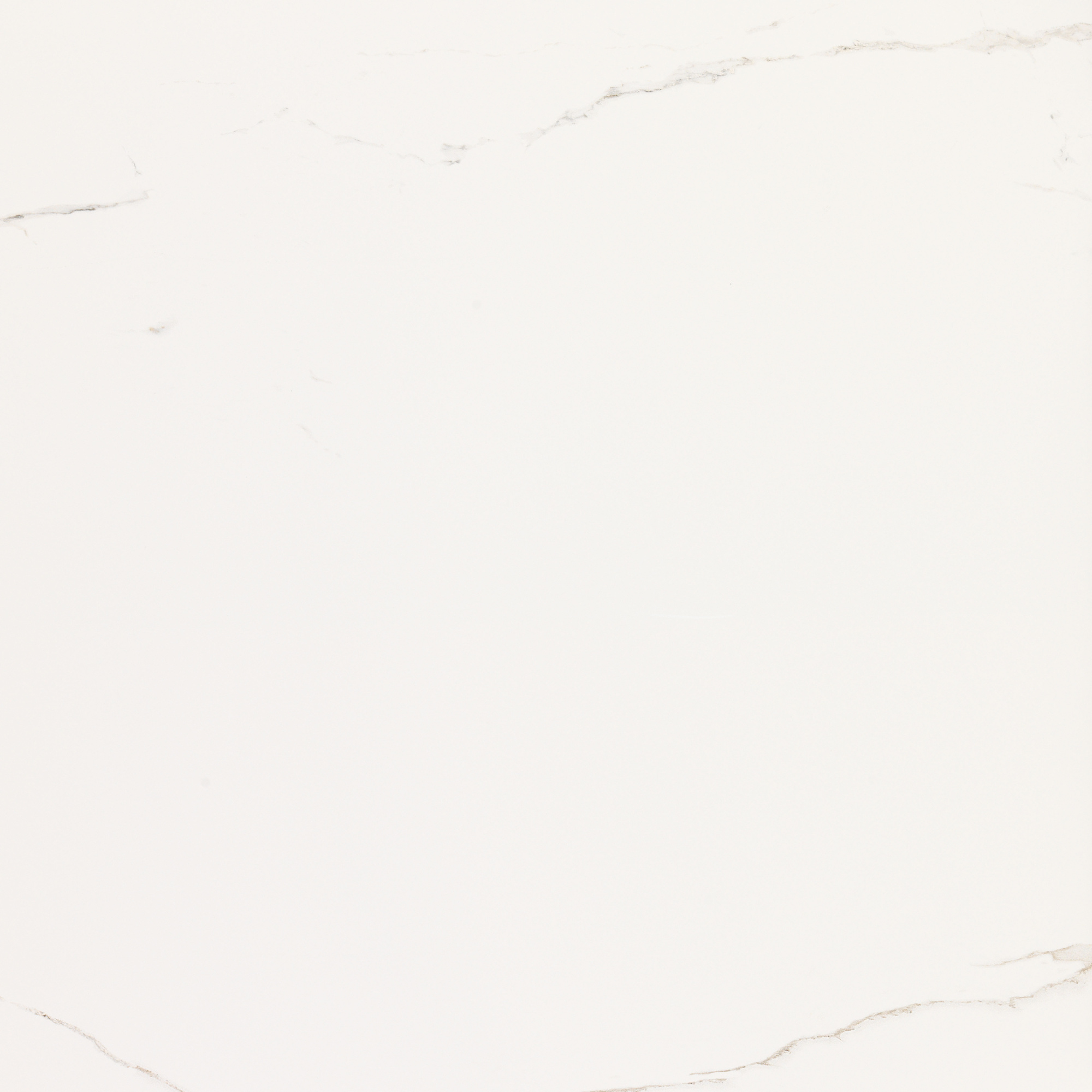 ARTIC GLOSS 59,6X59,6