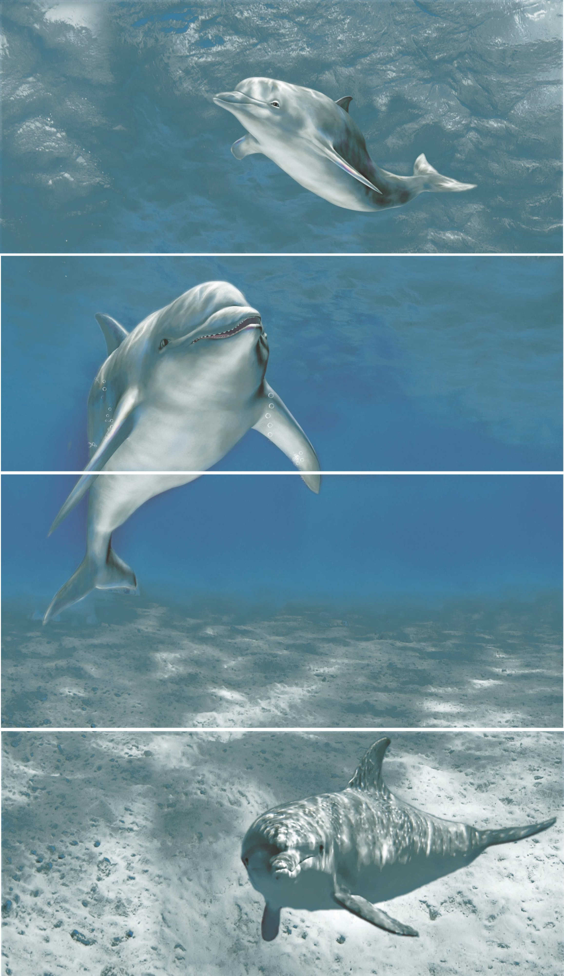 Goa Delfin-4