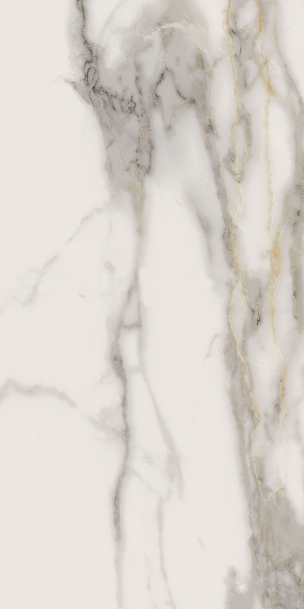 CHA.EVO CALACATTA 45X90